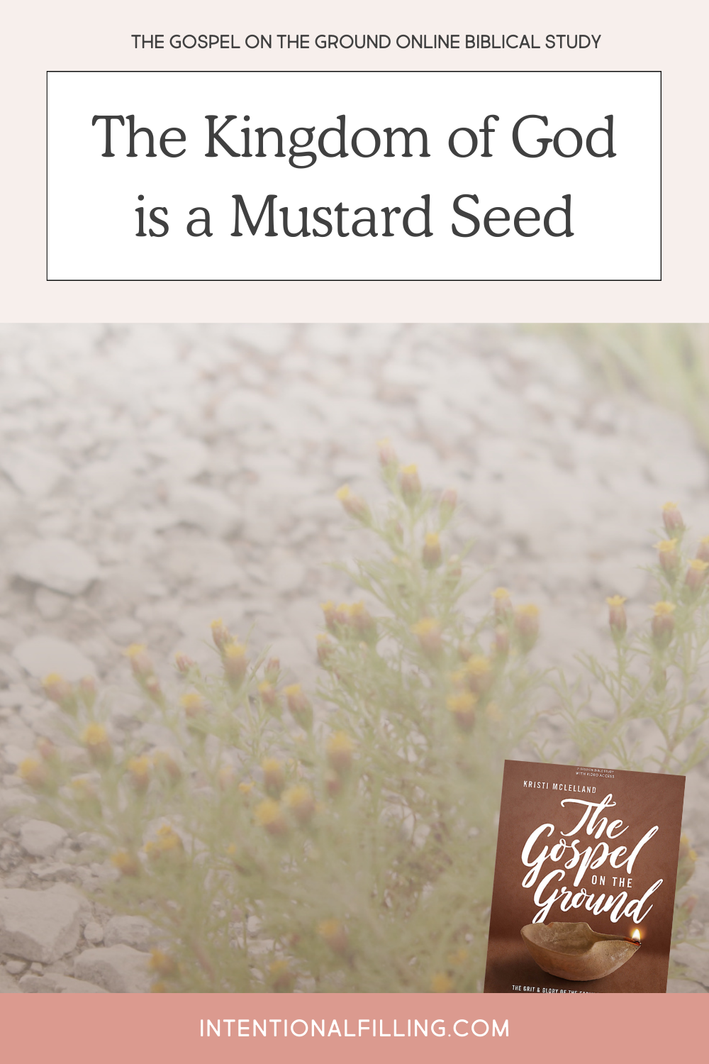The Gospel on the Ground Online Biblical Study - The Kingdom of God is a Mustard Seed | Intentionalfilling.com