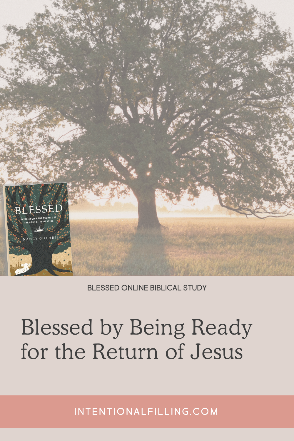 Blessed by Being Ready for the Return of Jesus - Blessed Online Biblical Study | Intentionalfilling.com